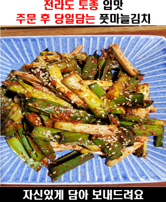 전라도 수제김치 풋마늘김치 1kg 2kg 3kg, 1개