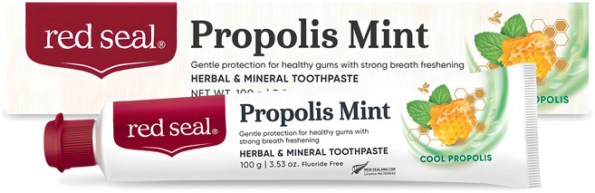 레드씰 프로폴리스 민트 치약, 100g, 1개