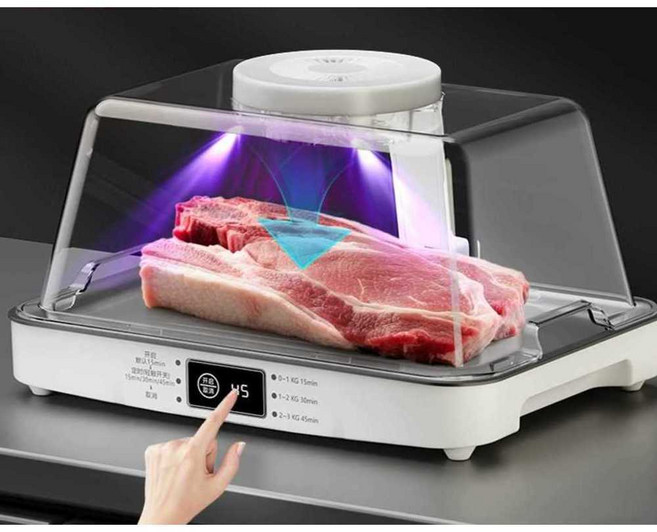 육류급속해동기 스테이크 해산물 해동 녹이는 기계