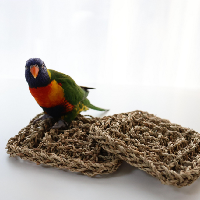 해초 매트 앵무새 해먹 놀이터 그네 장난감 새용품 횃대 평상, 2개, 정사각형18