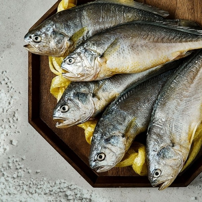 천사푸드 영광굴비 참굴비 참조기 1.6kg 20미, 1개