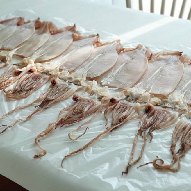 동해 영덕 구룡포 국내생산 피데기 반건조오징어 당일바리 마른오징어 건오징어 쫄쫄이 다리 농장을부탁해, 1개, 국내산 소10미(800g내외)