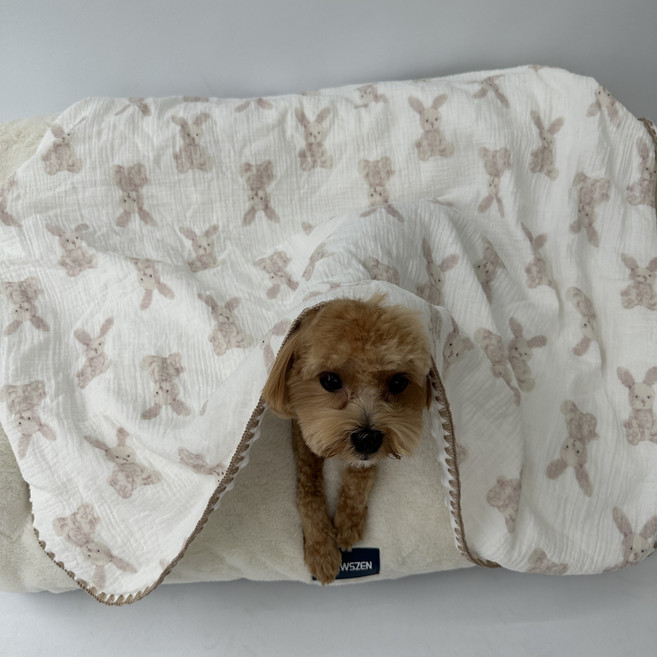 스카이몰 댕이 이불, 1개, 화이트토끼