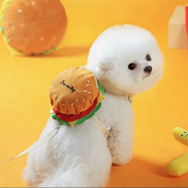 Hqzoomee 강아지 이동가방 외출 신기 HJCWBBHB, 1개, 오렌지