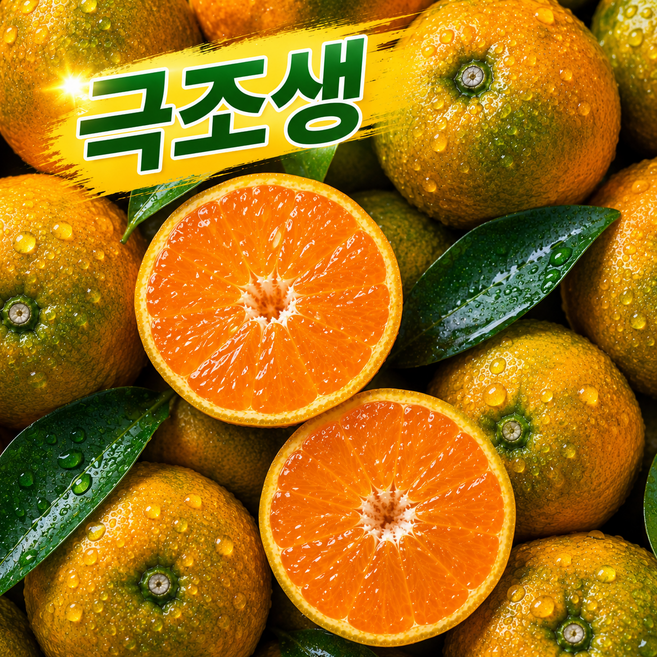 첫 수확 제주 고당도 극조생 감귤 노지 극조생 귤, 1박스, 3KG