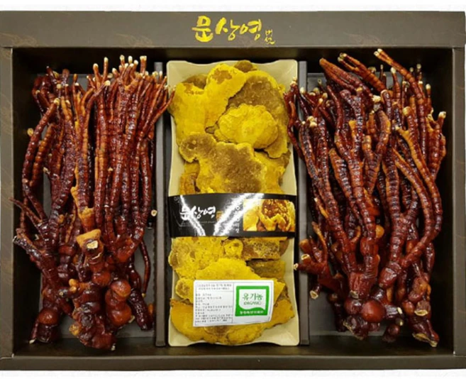 문상영버섯농장 유기농 상황버섯 120g+무농약 녹각 영지버섯 200g 선물세트, 1개 - 쿠팡