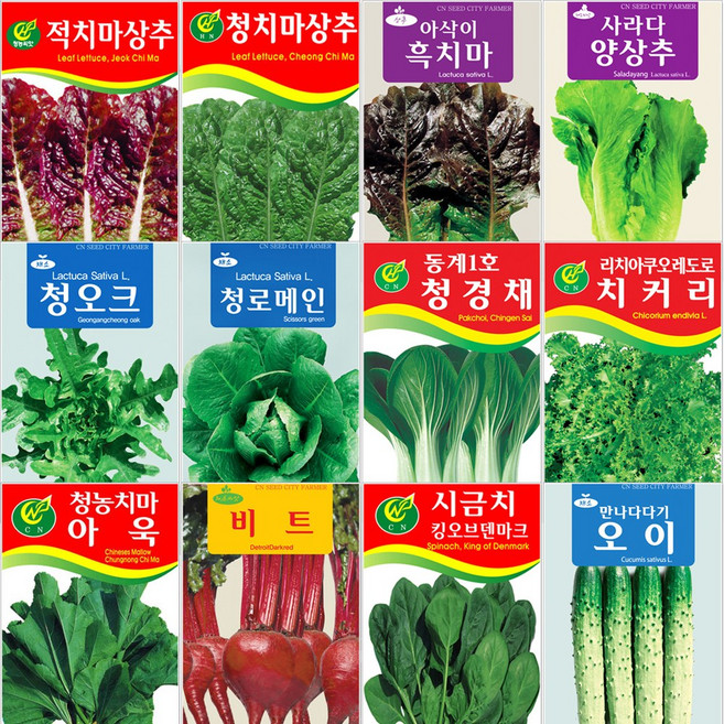 상추/쌈/채소 씨앗 모음, 31_백경근대 5g, 1개