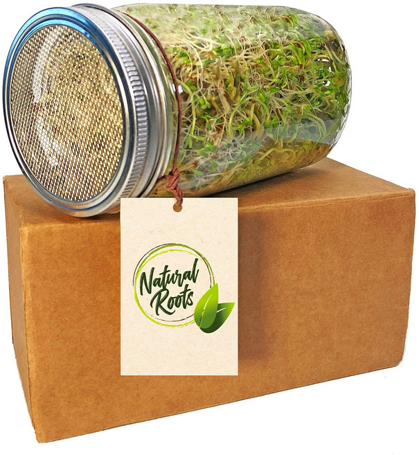새싹 재배 병 스크린 뚜껑 포함 - 316 스테인리스 스틸 Sprouting Jar with Screen Lid-316 Stainless Steel 100% Rust Free, 1개
