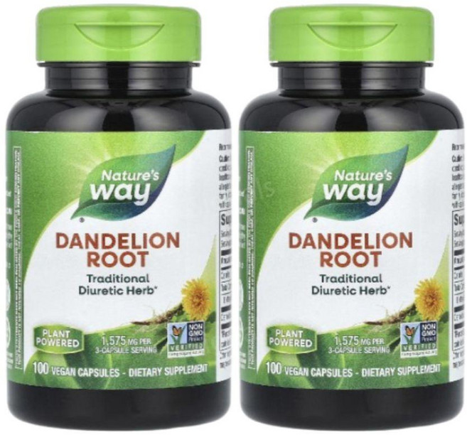 네이처스웨이 민들레 단델리온 뿌리 루트 1575mg 100캡슐 2개 Dandelion