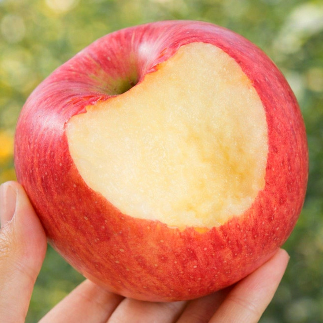 [3일간초특가] 직접선별한 과즙가득 부사 사과, 1개, 5kg (품위선별)