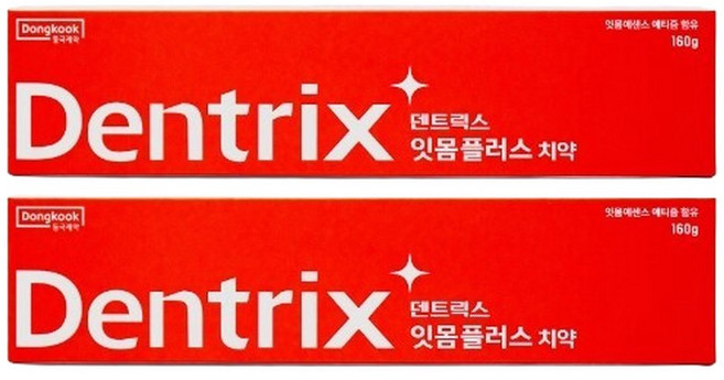동국제약 덴트릭스 잇몸플러스 치약 160g 2개 I