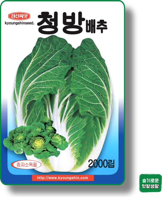 청방배추 씨앗 1000립 경신종묘 종자 모종 작물 텃밭 채소씨앗 재래종, 1개