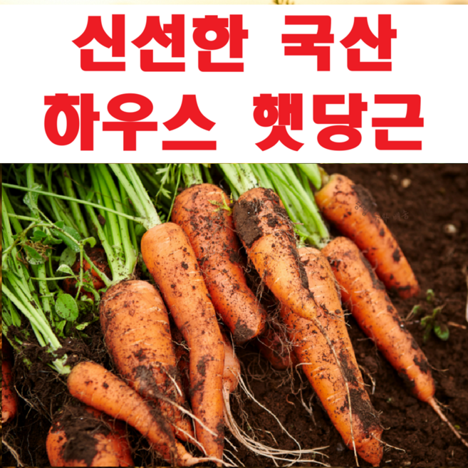 국내산 첫수확 하우스 햇당근, 1박스, 중10kg