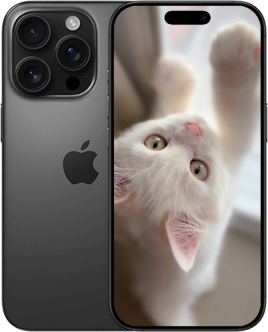 [아이]Phone 16 프로 미개봉 새상품, 256GB, 검은색