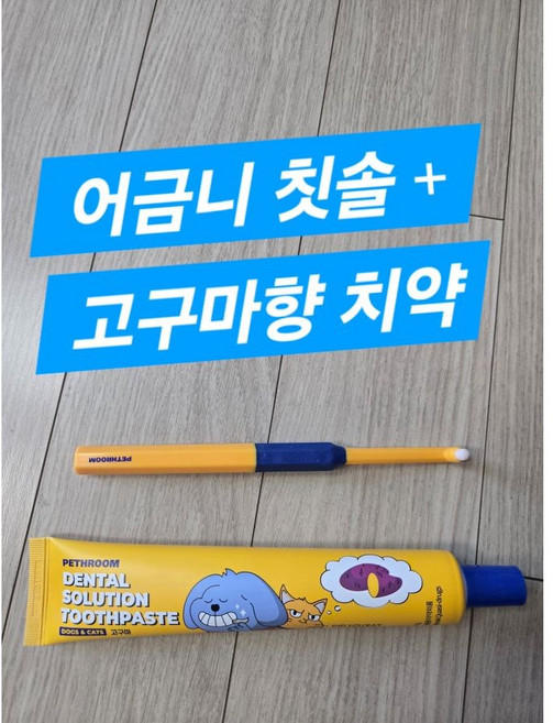 페스룸 덴탈 솔루션 세트(어금니 칫솔 + 치약) 초소형 초극세사모 포인트칫솔 바르는 치약 효소 입냄새 치석 제거, 1세트, 어금니 칫솔 + 고구마향 치약