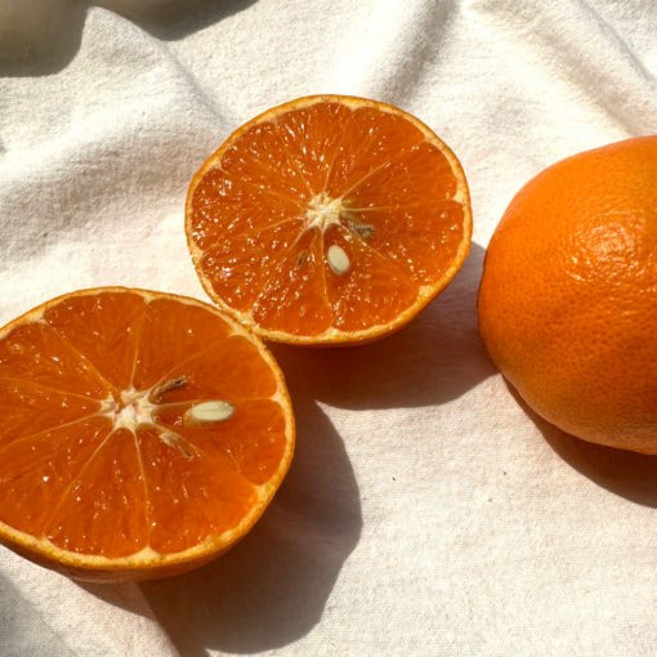 제주귤 제철과일 제주 설국향 수라향 신비향, 1개, 꼬마귤 5kg