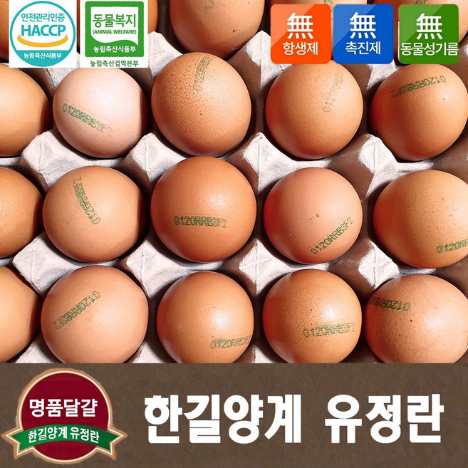[한길양계] 동물복지 유정란 40구 친환경 무항생제 HACCP 안전관리인증 축산물 사육환경번호 #2, 1개, 20구
