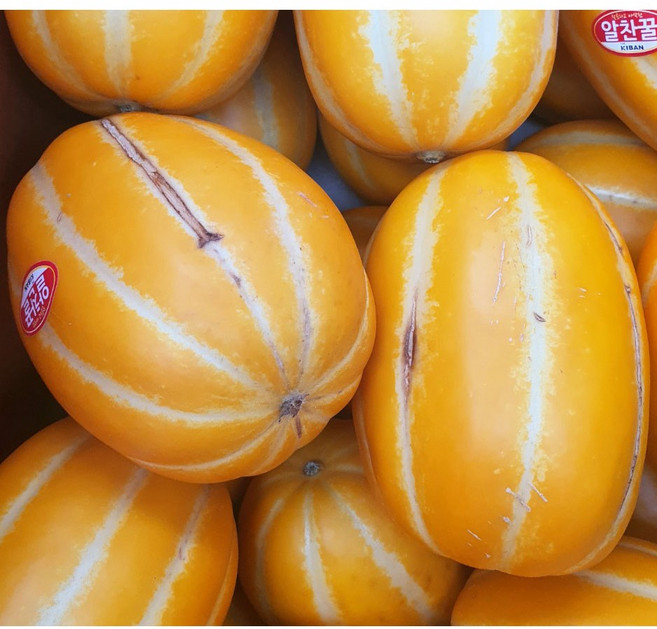 참외 초특가 가정용, 1박스, 참외 5kg 대과