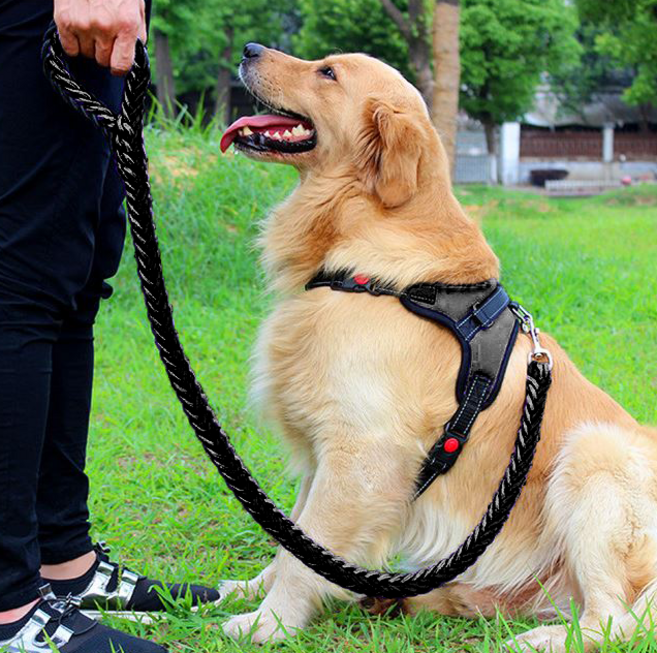 견생견사 소중대형견 하네스 + 리드줄 세트, 블랙(세트), 1개