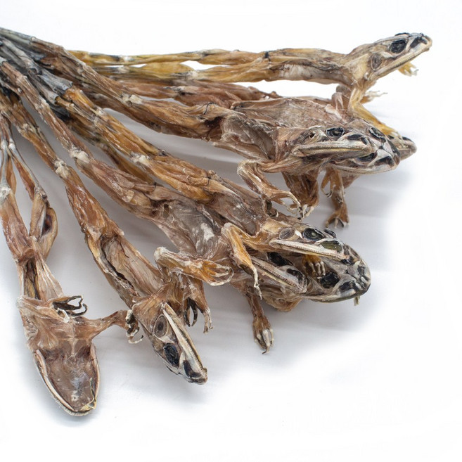 말린 황소개구리 (대) 1묶음, 20g, 10개