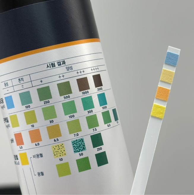 소변검사키트 혈뇨 소변검사스틱 단백뇨 잠혈 거품뇨 방광염 잔뇨 (애보트 4종), 1개, 100매