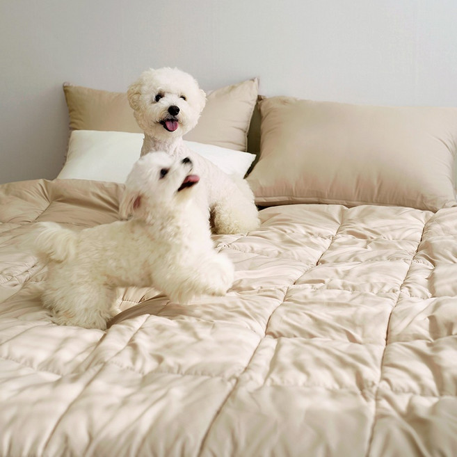 아토앤알로 빌리프 알러지케어 차렵이불베개세트 SSQ