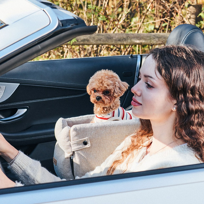 개과천선 루니 강아지 콘솔 카시트, 루니 콘솔 카시트 - 베이지, 1개