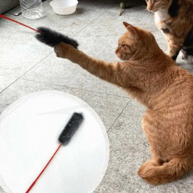 핸샘 고양이 오뎅꼬치 스틱 장난감 고양이사냥놀이 고양이장난감, 상세페이지 참조, 1개