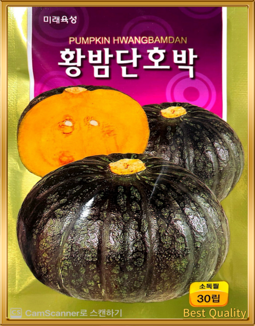 단호박 씨앗 30립 고당도 밤호박 종자, 02.맷돌호박, 1개