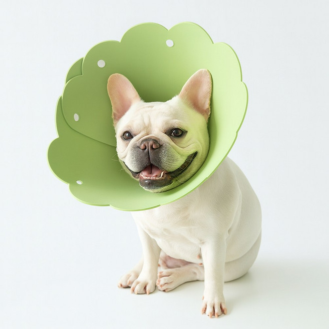 강아지 깔대기 목보호대 고양이 부드러운 EVA 보호 넥카라, 1개, 그린