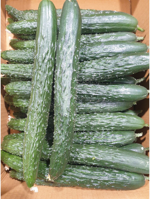 가시오이 10kg 한박스 청오이 못난이 특품, 10kg(못난이), 1개