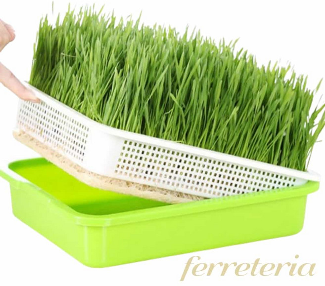 옥이드림 새싹 채소 키우기 보리싹키우기 밀싹재배기 새싹기르기, 새싹재배기, 1개