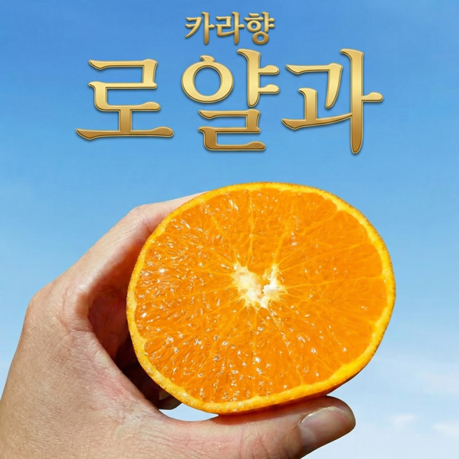 [30박스한정특가] 제주 카라향 당도선별 로얄과, 1박스, 3kg