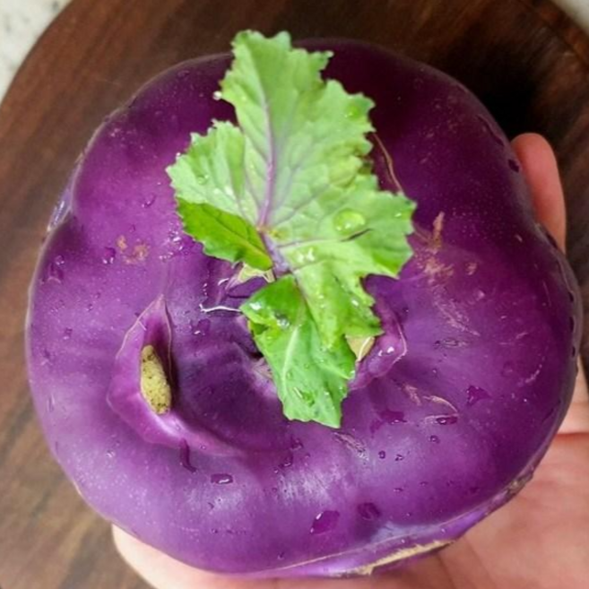 슈퍼푸드 아삭아삭 당일수확 콜라비, 1kg, 1박스