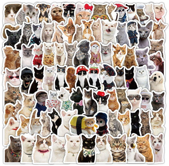 라온스티커 98매입 고양이 방수스티커 세트, 1세트, 혼합(S21127)98P