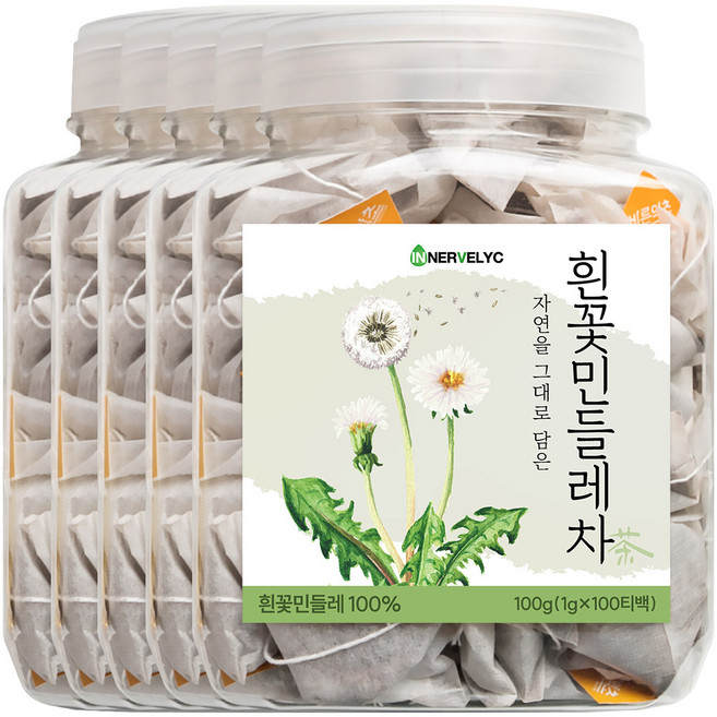 바른약초 흰꽃 민들레차 삼각티백, 1g, 100개입, 5개