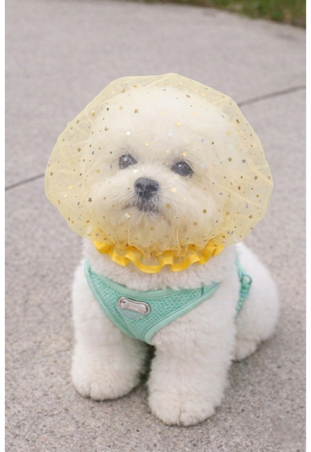 YELON 강아지 페이스커버 얼굴망 이식증 버그가드, 1개, 옐로우