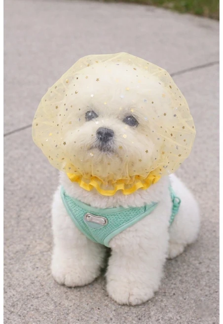 YELON 강아지 페이스커버 얼굴망 이식증 버그가드, 1개, 옐로우 - 쿠팡