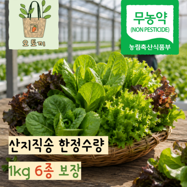 [무농약] 친환경 유럽 유러피안 다이어트 샐러드 모둠 채소 쌈채소 산지직송, 1개, 1kg
