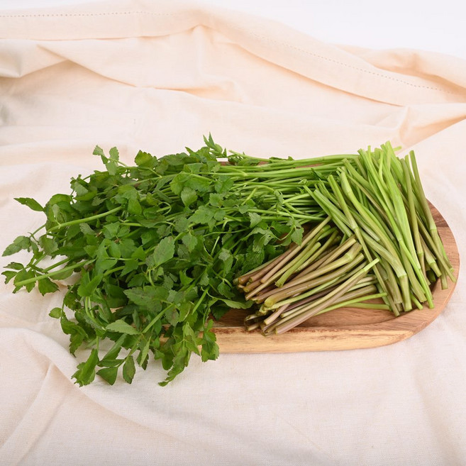 입안 가득 퍼지는 향긋한 풍미 청도 미나리 200g, 1