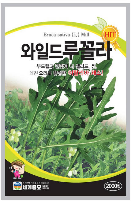 주주씨앗 와일드루꼴라 2000립 채소씨앗 루꼴라씨앗 쌈채소 상추 이탈리아채소 샐러드, 1개