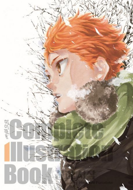 Haruichi Furudate 하이큐!! 컴플리트 일러스트레이션 북 끝과 시작, 1개