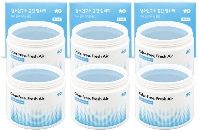 청소연구소 실내 고체 탈취제 클린솝향 300g 공간 탈취제 초강력 냄새제거 화장실 집안 담배냄새 제거, 6개, 300ml