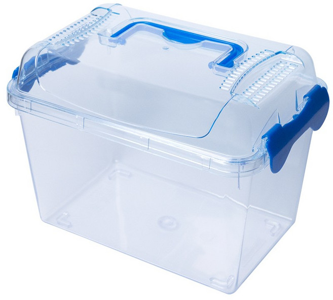 클린케이스 사육통 중 (사슴벌레 장수풍뎅이 곤충 파충류 양서류 절지류 채집통) - 꿈도미, 1개