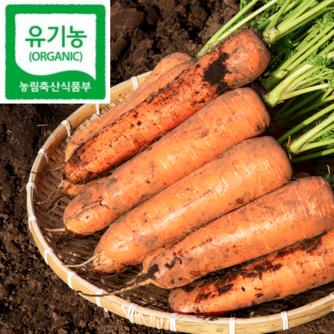 유기농 최상급 햇 당근 농가직송, 1박스, 3kg