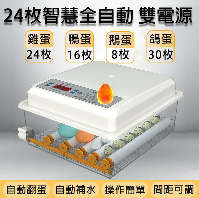 魚丸家 110V 智能溫控 翻蛋 補水 家用孵化器, 24枚【全自動孵化+附補水器】可接電瓶用