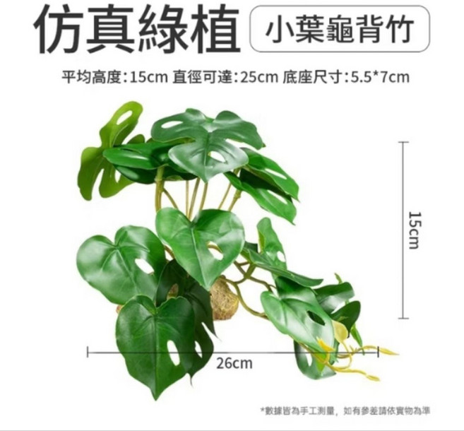 CLEEN 爬寵模擬植物 小葉龜背竹, 1個