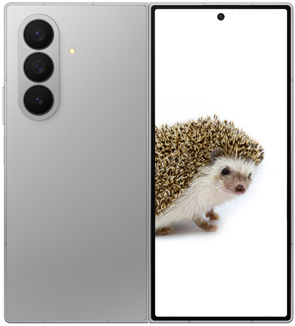 삼성전자 갤럭시 Z 폴드7, 256GB, 실버 쉐도우 색상 선택하기