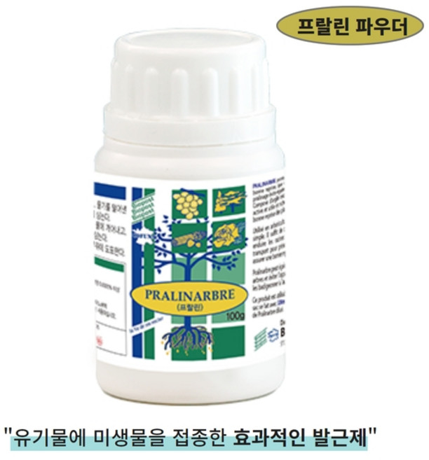 [더편한세상] 발근제 삽목 뿌리 식물 발근촉진제 루팅파우더 프랄린파우더 100g, 1개