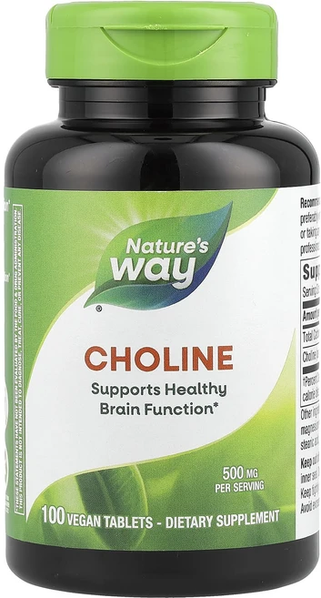 Nature's Way 콜린 500mg 베지 정제 100정, NaturesWay콜린500mg베지정제100정, 1개 - 쿠팡